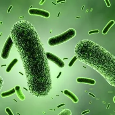 Triple Probiotic